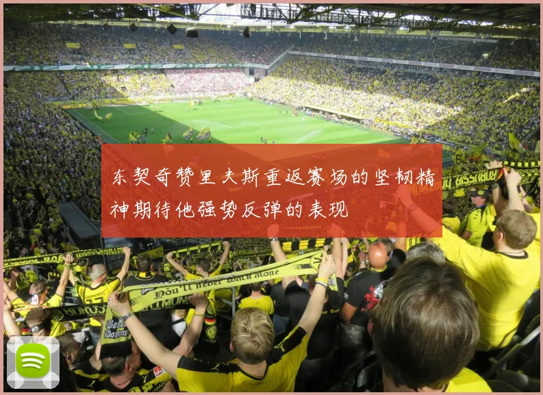东契奇赞里夫斯重返赛场的坚韧精神期待他强势反弹的表现